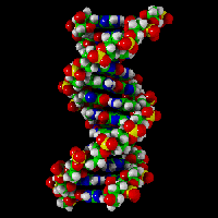 
  DNA